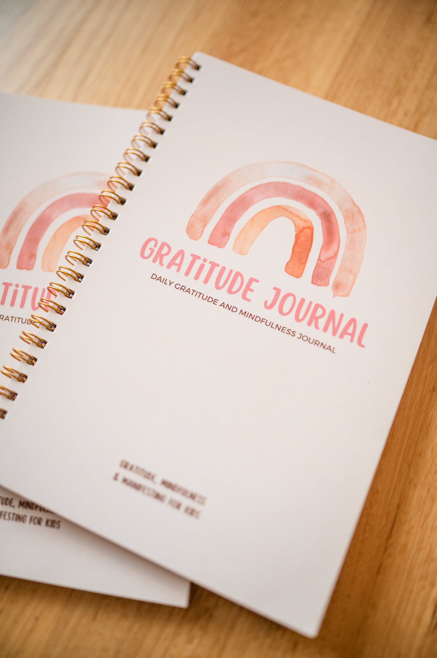 Kids Gratitude Journal: Daily Gratitude and Mindfulness Journal for Ki –  Grateful Little People